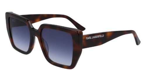 Immagine di Karl Lagerfeld KL6036S
