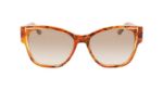 Immagine di Karl Lagerfeld KL6069S