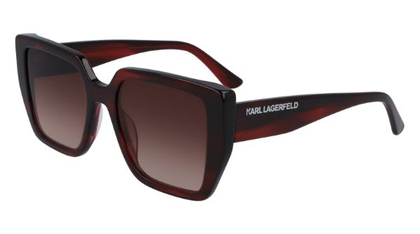Imagen de Karl Lagerfeld KL6036S 45389