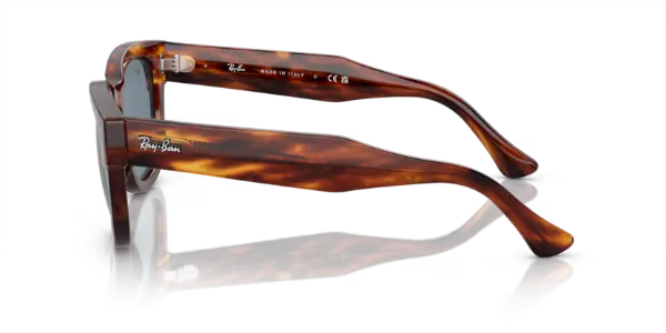 Ray-Ban modello 0298S SOLE colore 954/62